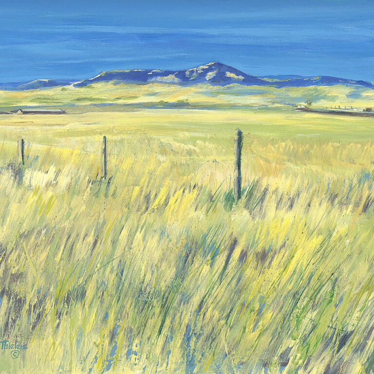 Wyoming Prairie 11 x 14